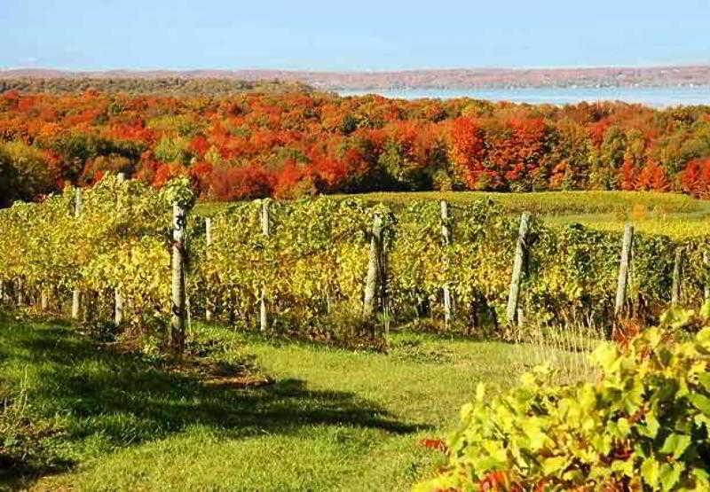 Fairfield Inn & Suites Traverse City Eksteriør billede